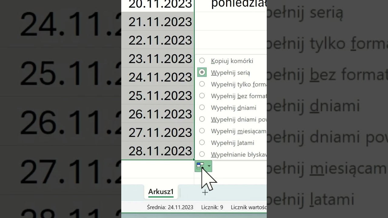 Dni robocze #and2 #exceltips